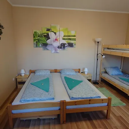 Nyuszifül * Pécs