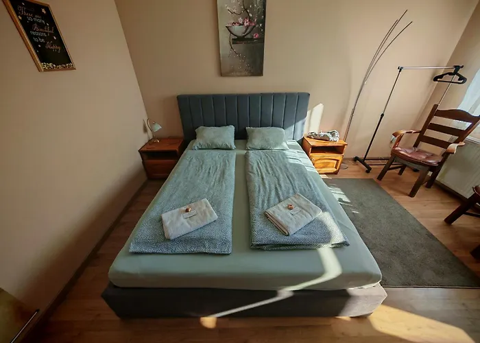 Nyuszifül Pécs