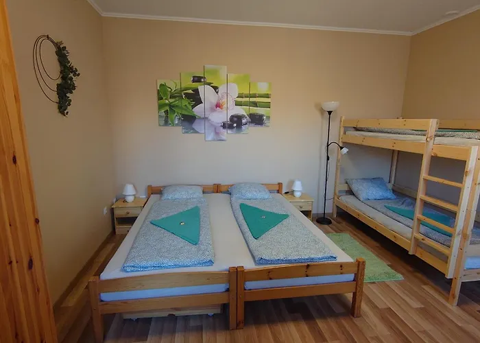Nyuszifül * Pécs