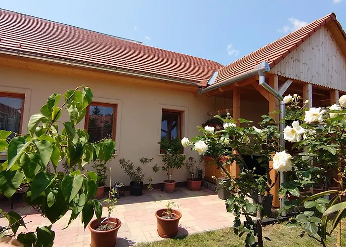 Nyuszifül Apartman